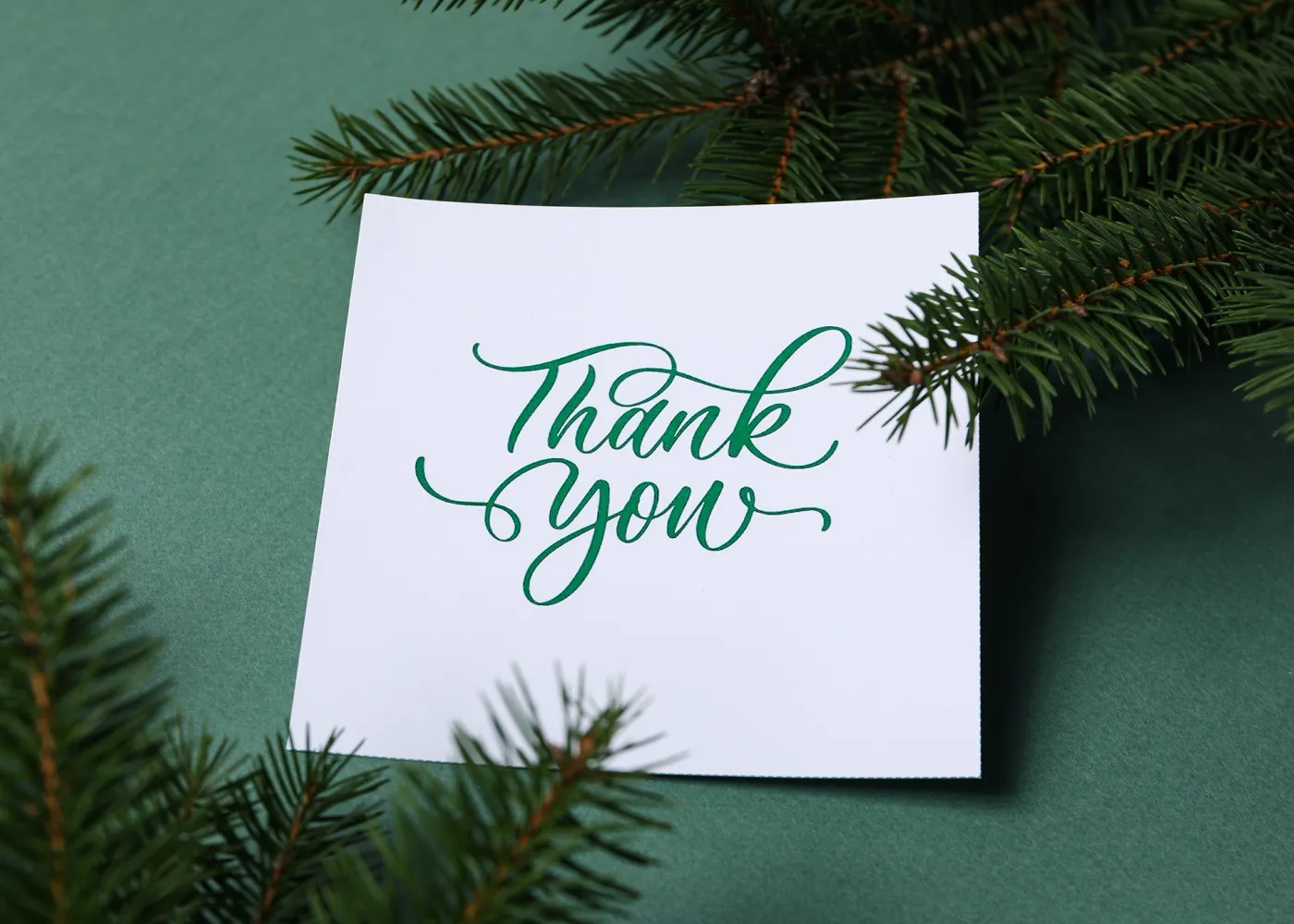 Thank-you card surrounded by evergreen branches