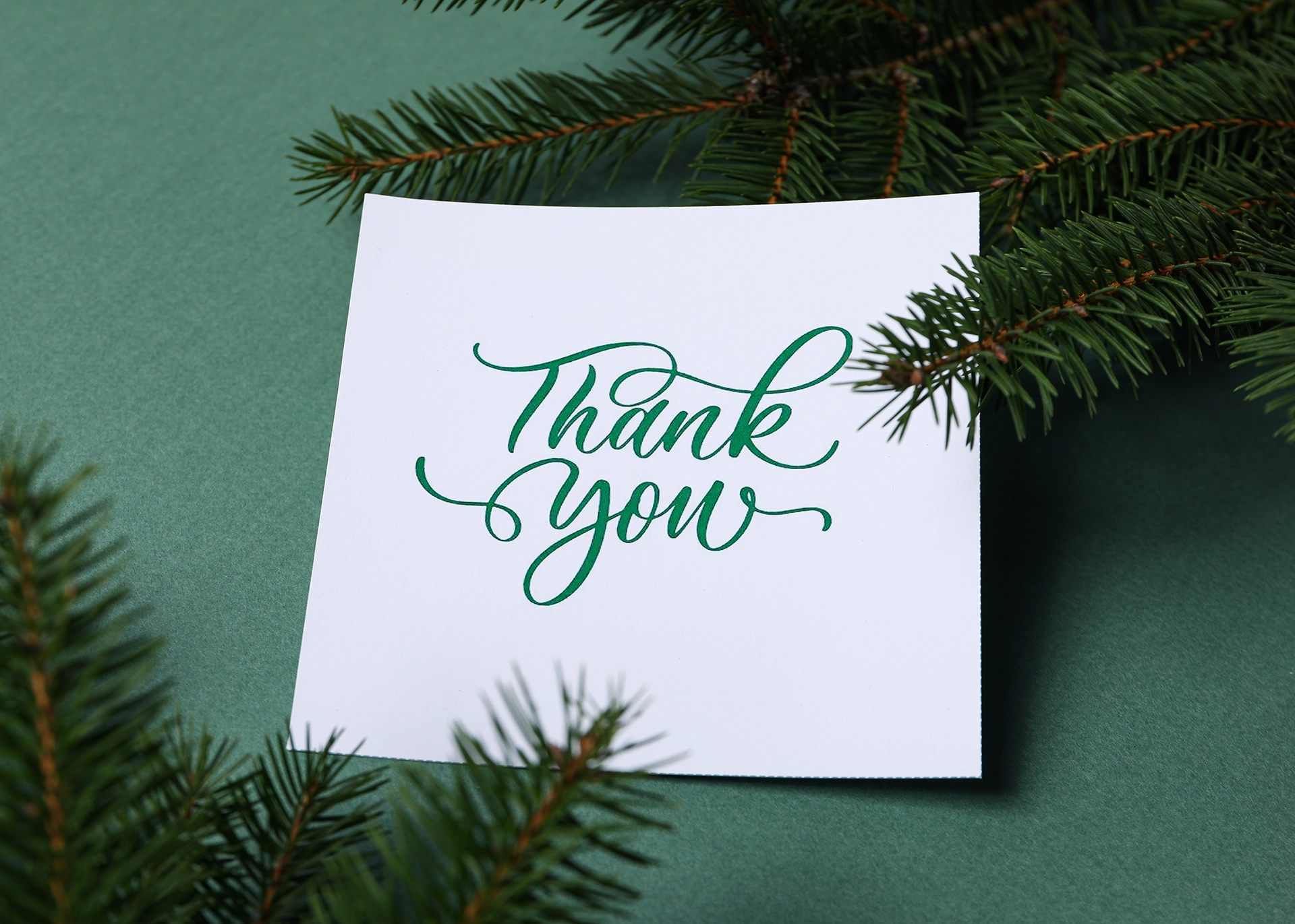 Thank you card on green background